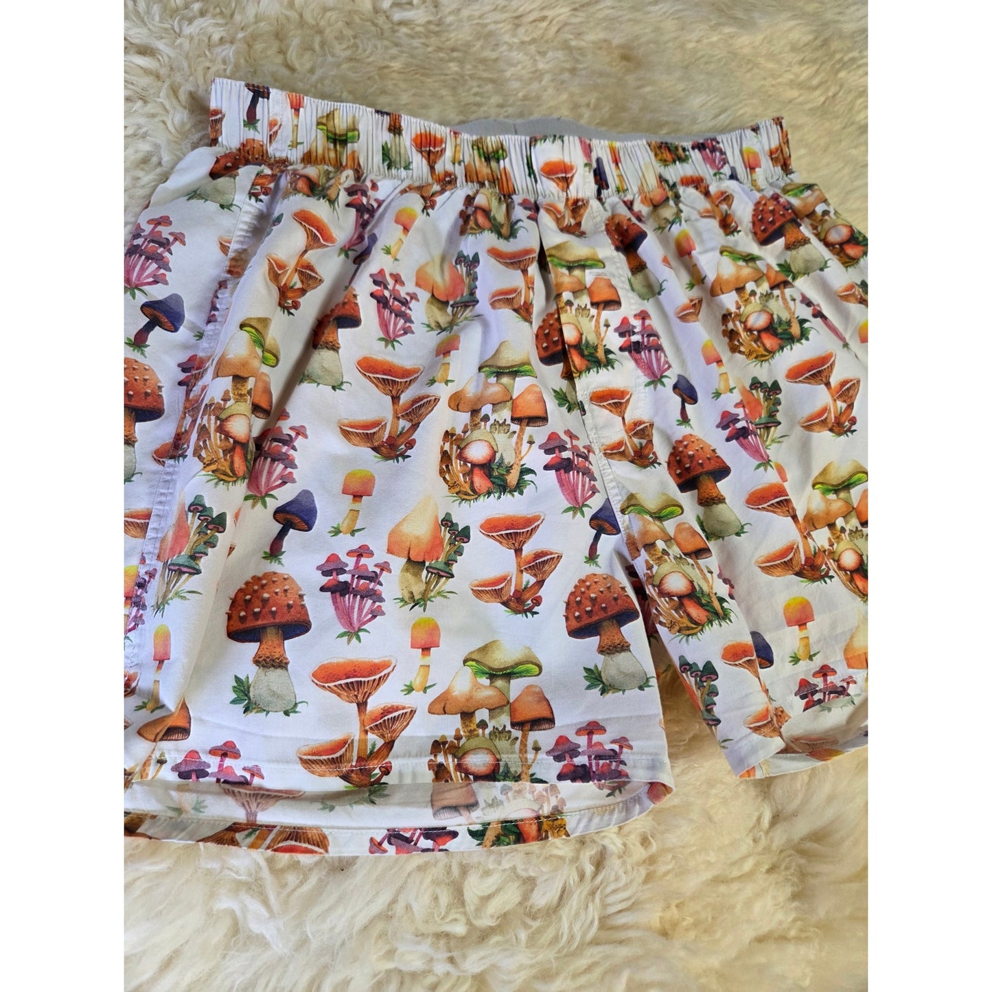 Druthers for Urban Outfitters Mushroom Boxers Large Cotton