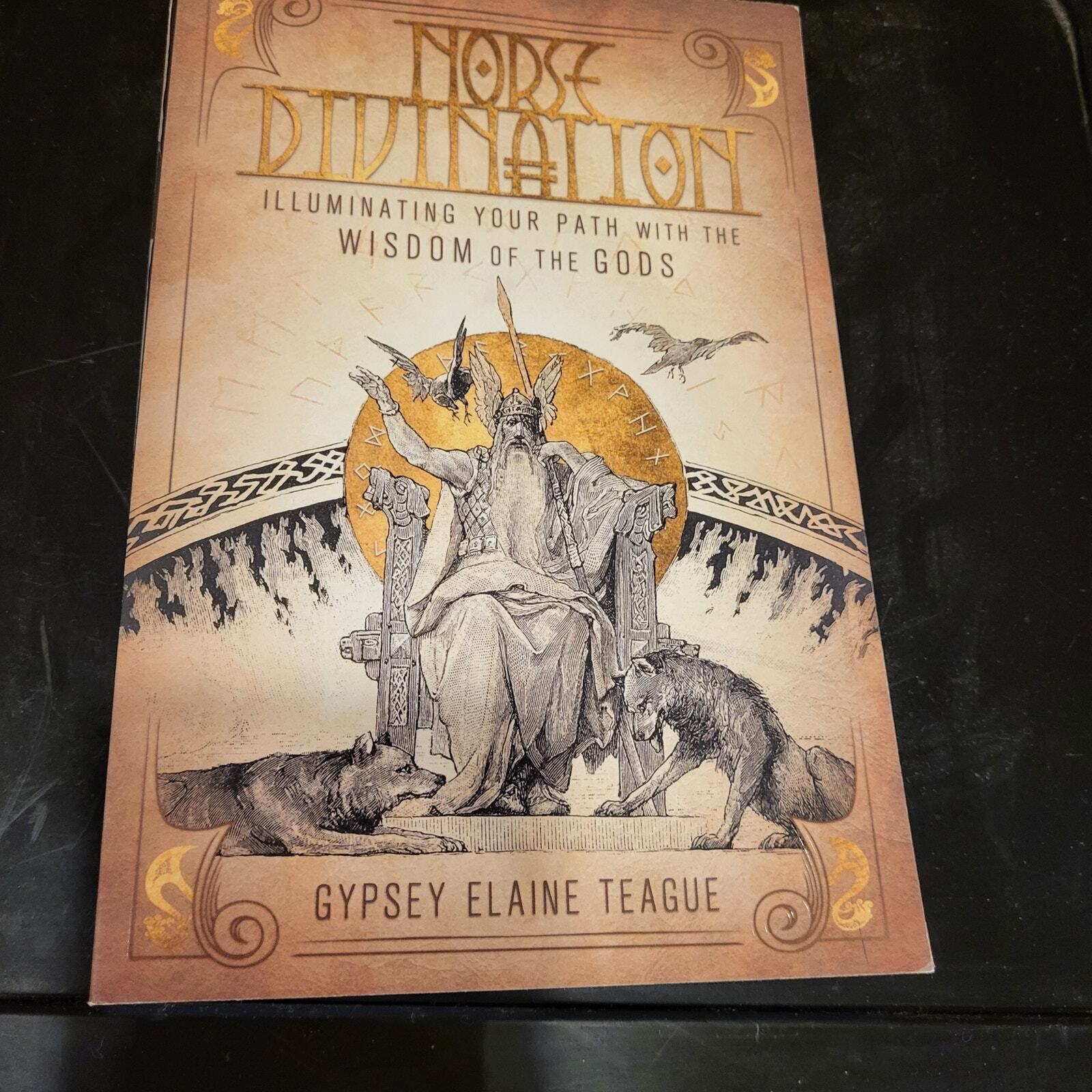 Norse Divination Illuminating Your Path With the Wisdoms Of the Gods 