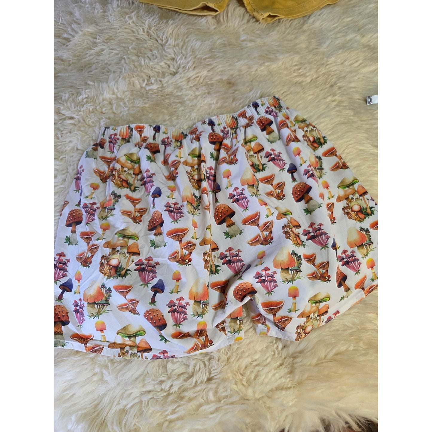 Druthers for Urban Outfitters Mushroom Boxers Large Cotton