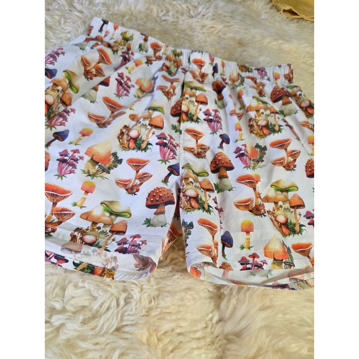 Druthers for Urban Outfitters Mushroom Boxers Large Cotton